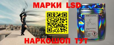 гидропоника Будённовск