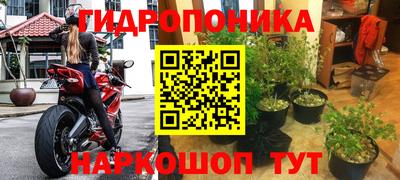 spice Бузулук